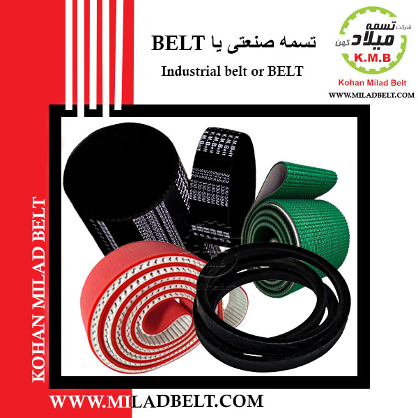 Industrial belt or BELT